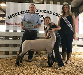 Schaal Club Lambs Winners