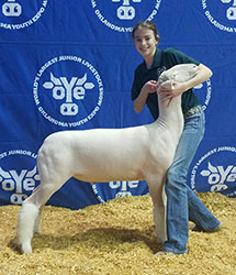 Schaal Club Lambs Winners