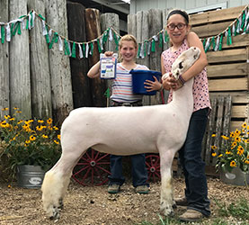 Schaal Club Lambs Winners