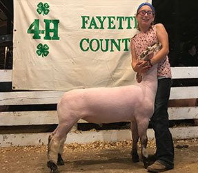 Schaal Club Lambs Winners