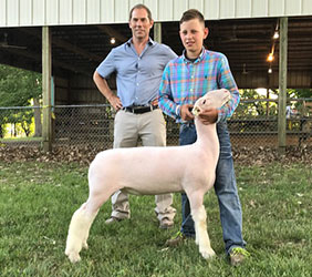 Schaal Club Lambs Winners