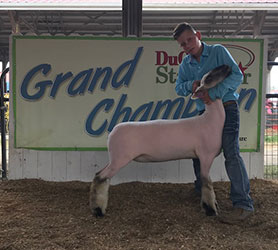 Schaal Club Lambs Winners