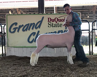 Schaal Club Lambs Winners