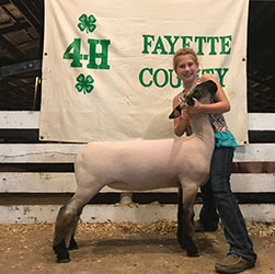 Schaal Club Lambs Winners