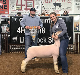 Schaal Club Lambs Winners