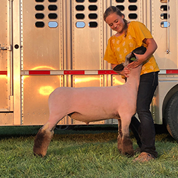 Schaal Club Lambs Winners