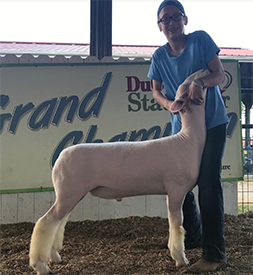 Schaal Club Lambs Winners