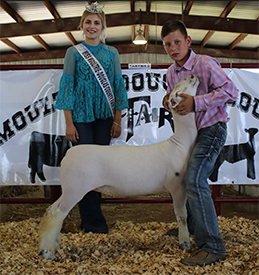 Schaal Club Lambs Winners