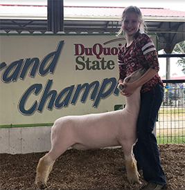 Schaal Club Lambs Winners
