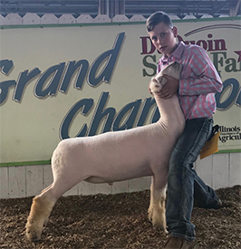 Schaal Club Lambs Winners