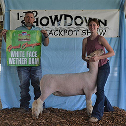 Schaal Winners