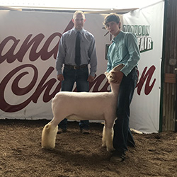 Schaal Winners
